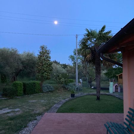 Le Coccole Del Trasimeno Pensionat Tuoro sul Trasimeno Eksteriør billede