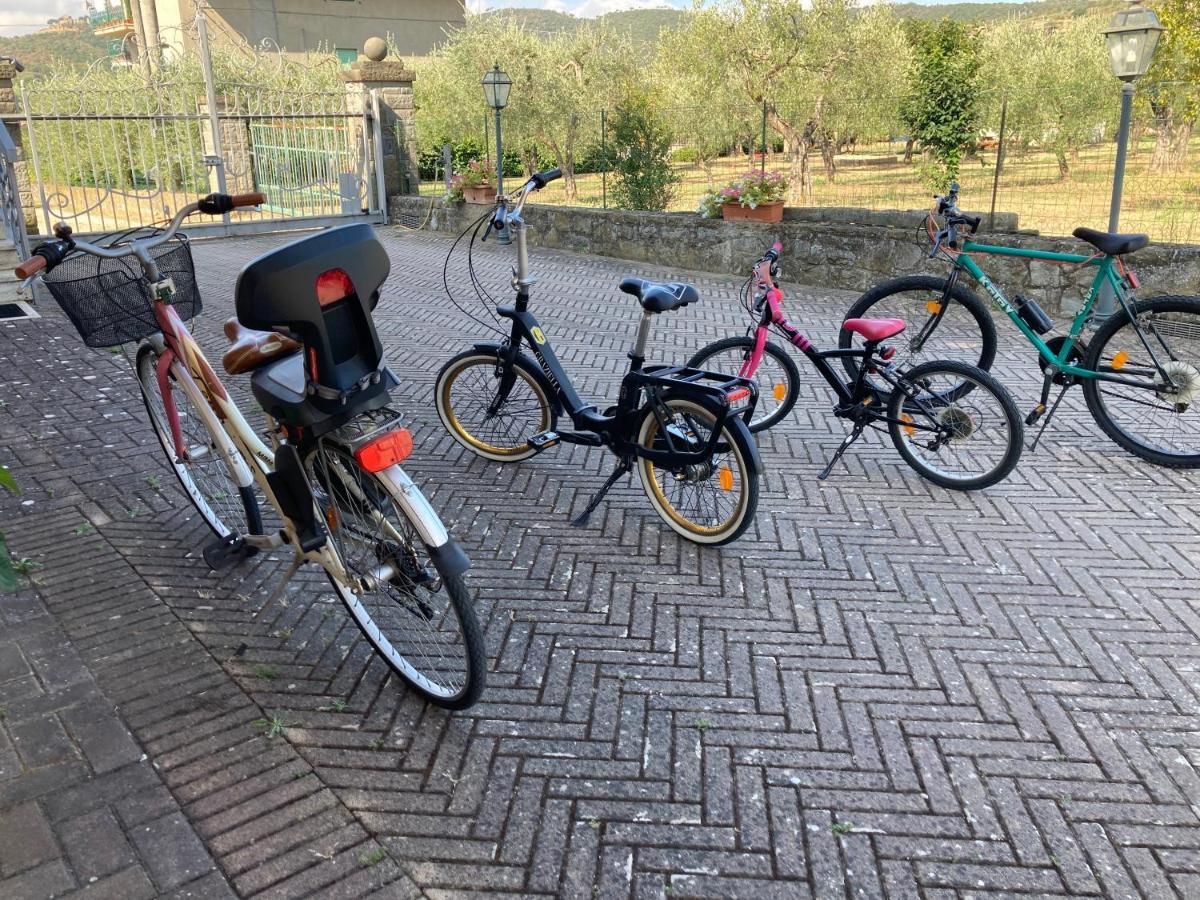 Le Coccole Del Trasimeno Pensionat Tuoro sul Trasimeno Eksteriør billede