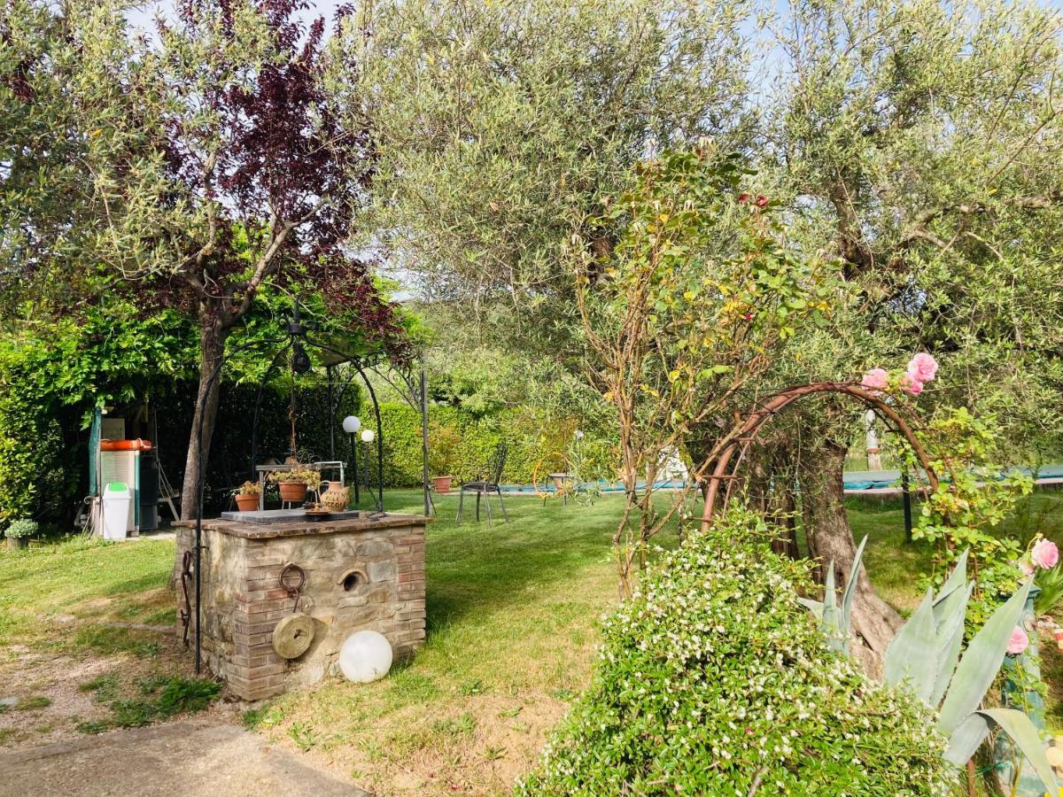 Le Coccole Del Trasimeno Pensionat Tuoro sul Trasimeno Eksteriør billede