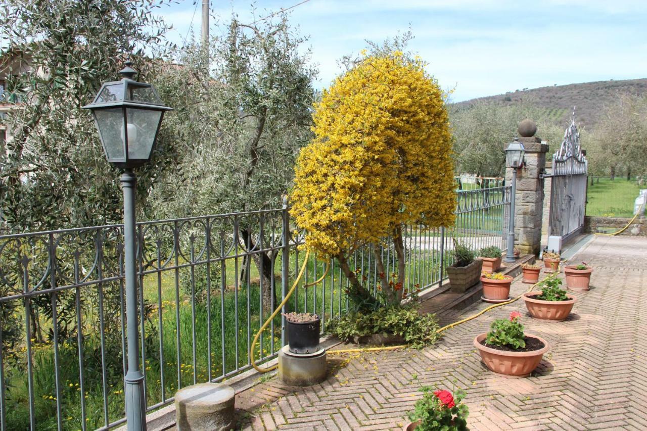 Le Coccole Del Trasimeno Pensionat Tuoro sul Trasimeno Eksteriør billede