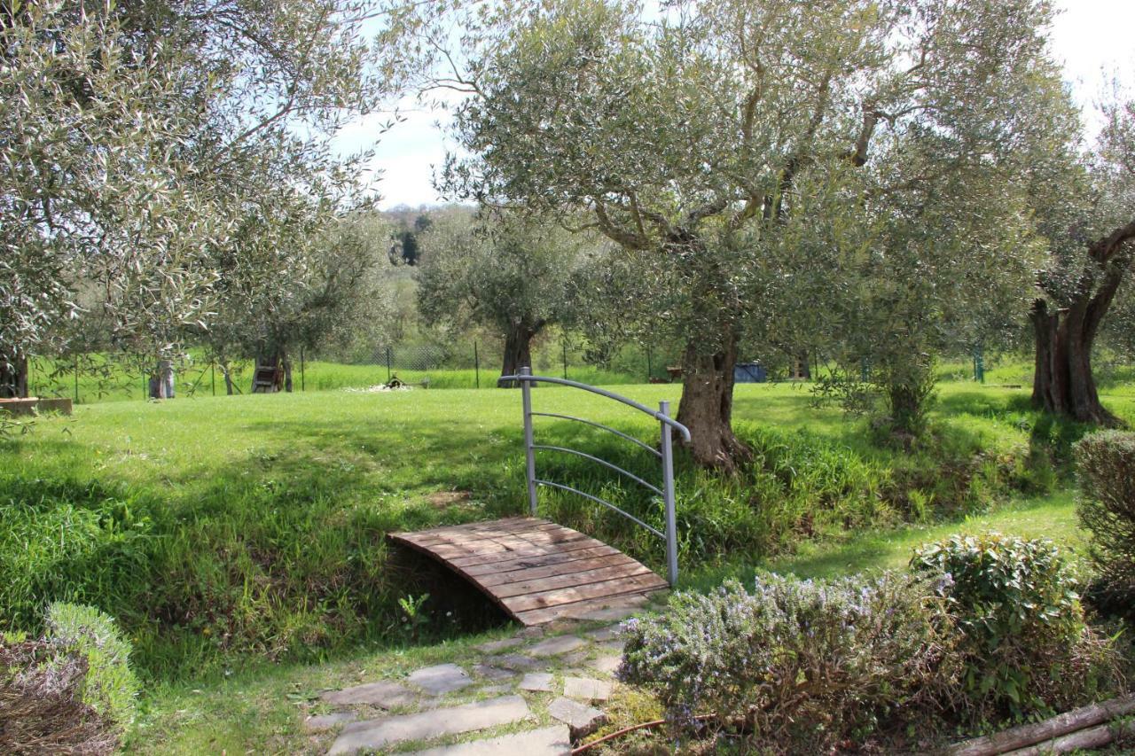 Le Coccole Del Trasimeno Pensionat Tuoro sul Trasimeno Eksteriør billede