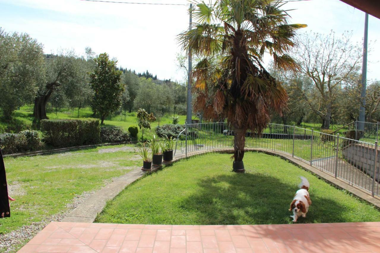 Le Coccole Del Trasimeno Pensionat Tuoro sul Trasimeno Eksteriør billede