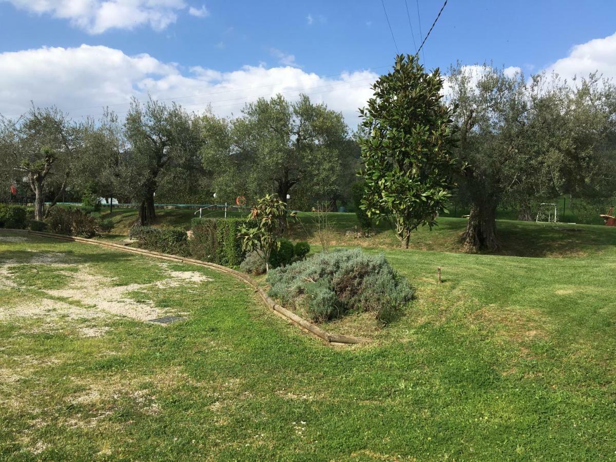 Le Coccole Del Trasimeno Pensionat Tuoro sul Trasimeno Eksteriør billede