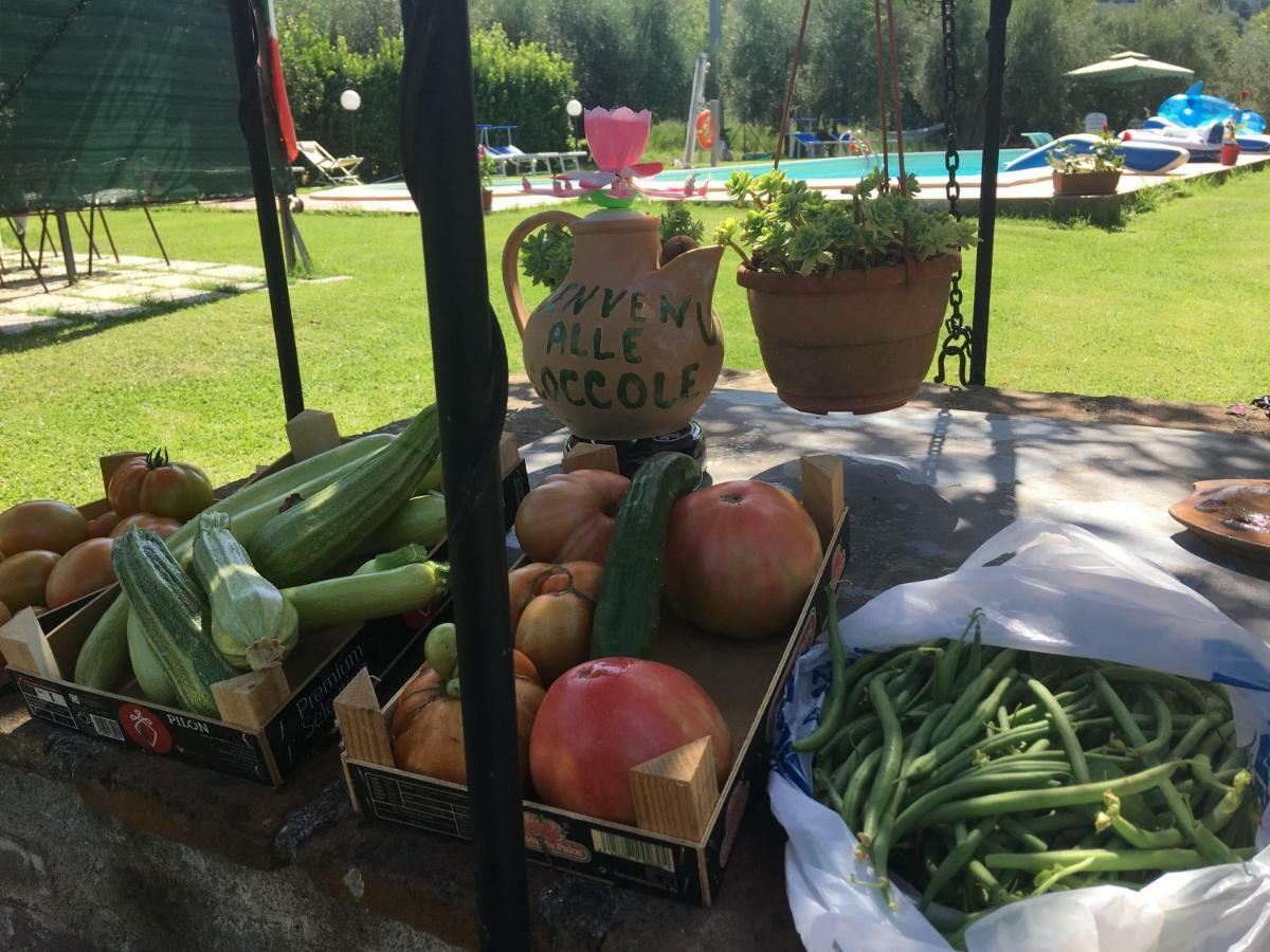 Le Coccole Del Trasimeno Pensionat Tuoro sul Trasimeno Eksteriør billede