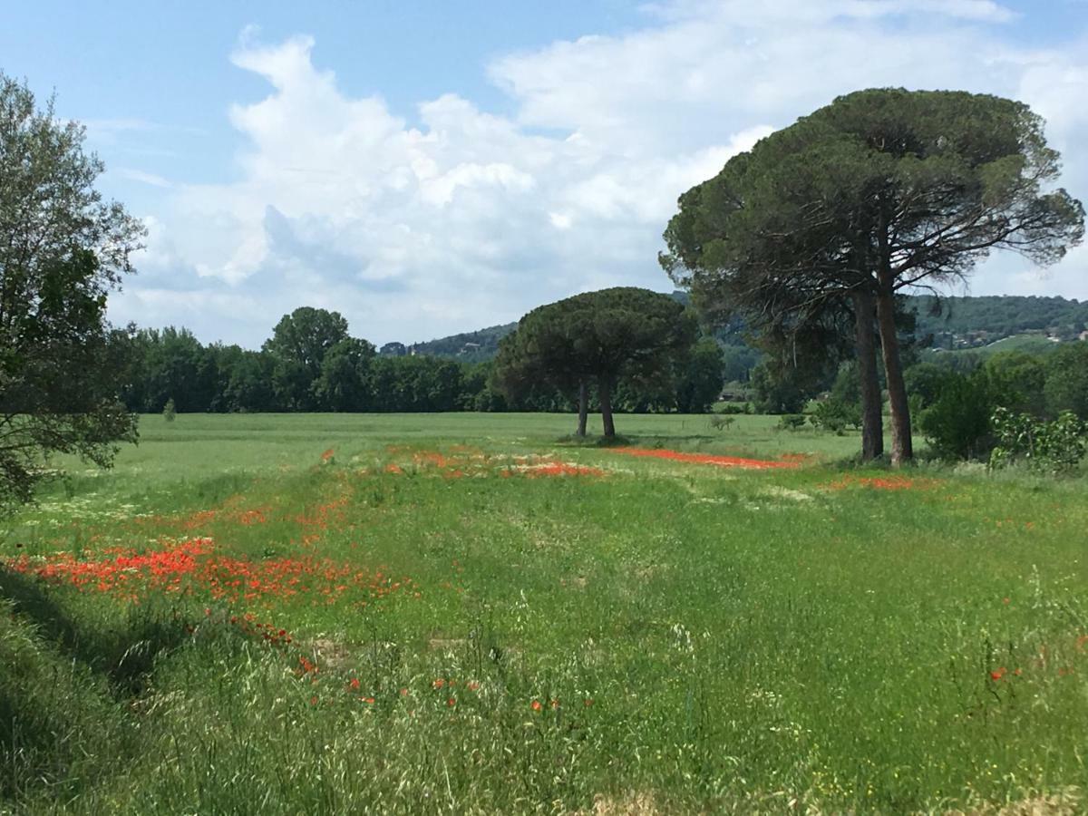 Le Coccole Del Trasimeno Pensionat Tuoro sul Trasimeno Eksteriør billede