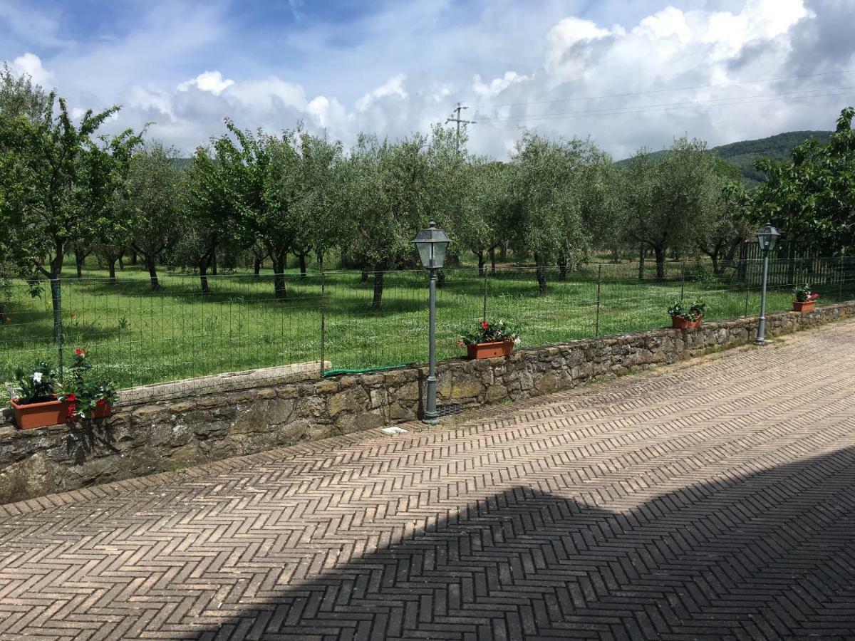 Le Coccole Del Trasimeno Pensionat Tuoro sul Trasimeno Eksteriør billede